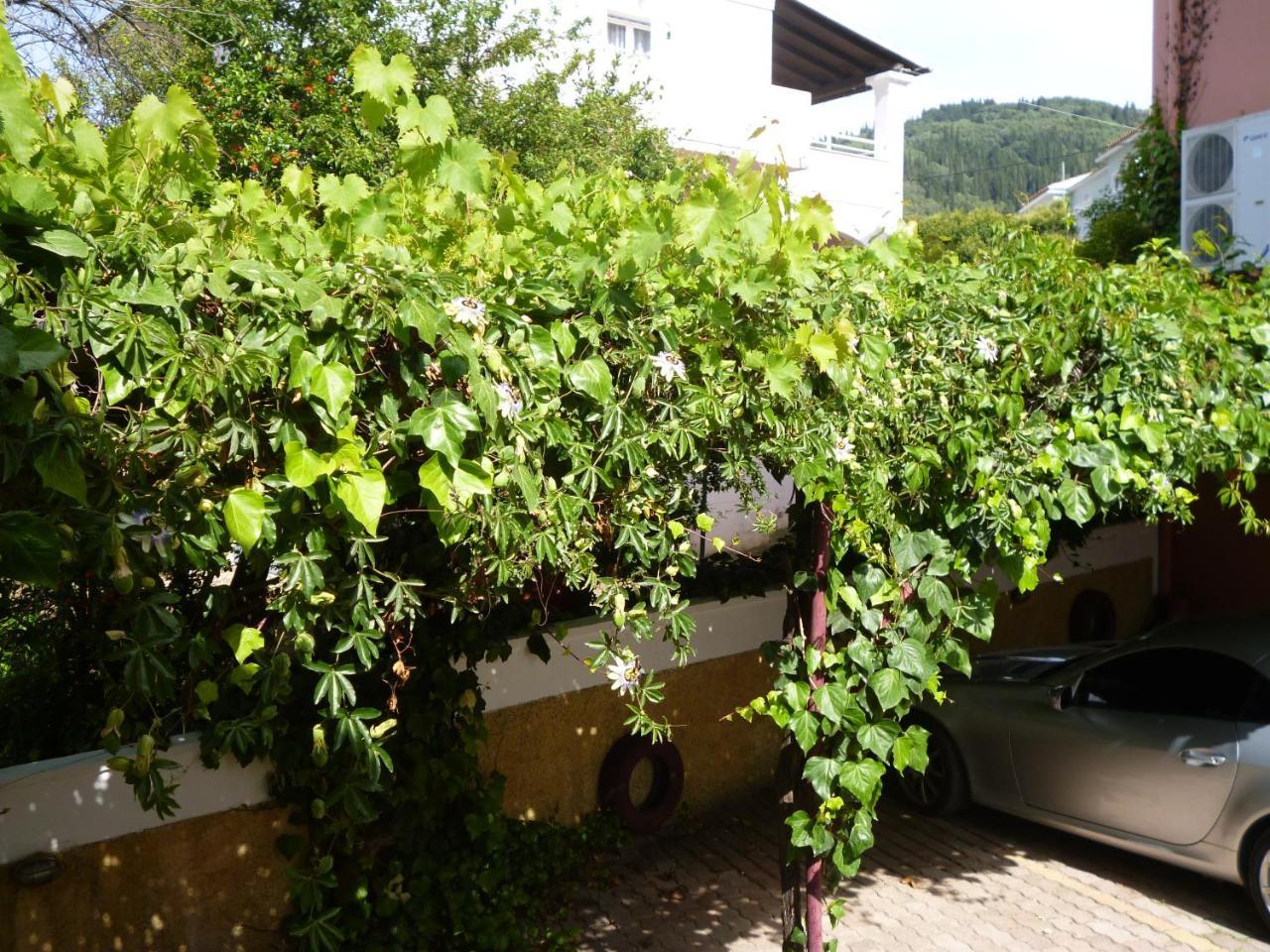 Kostas